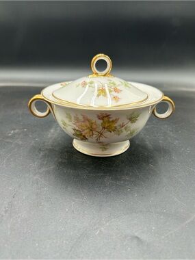 Haviland Limoges Autumn Leaf hand painted covered sugar bowl